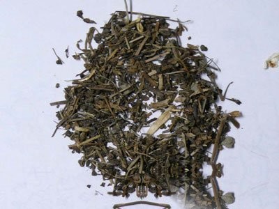 芜荑图片