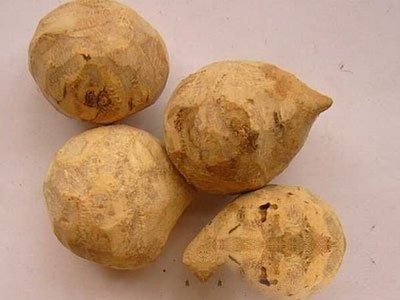 三棱的功效与作用