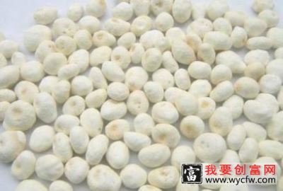 半夏的功效与作用