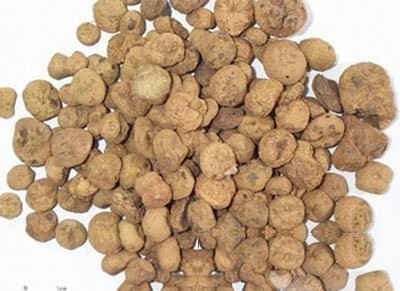 延胡索的功效与作用