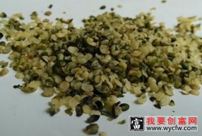 火麻仁的功效与作用