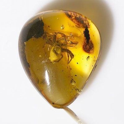 琥珀的功效与作用