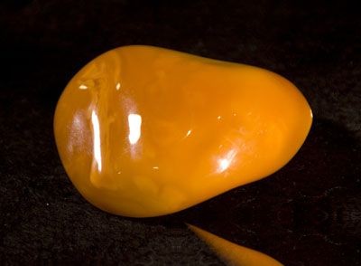 琥珀图片