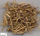 白前的功效与作用-用法及别名-白前图片