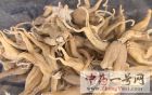 手掌参3