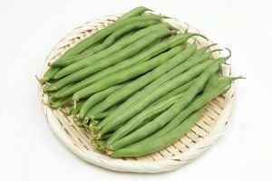 白饭豆2