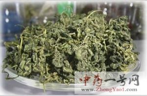 绞股蓝2