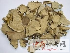 苦参