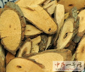 黑老虎的功效与作用-用法及别名-黑老虎图片