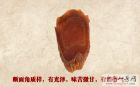 高丽参4