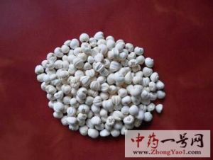 贝母 贝母