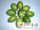 橄榄