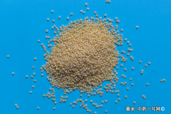 粟米的功效与作用-用法及别名-粟米图片