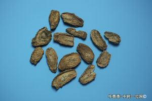 牛蒡茶的功效与作用-用法及别名-牛蒡茶图片