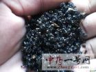 黑蚂蚁2