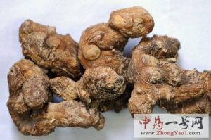 黄精的功效与作用-用法及别名-黄精图片