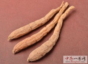 太子参的功效与作用-用法及别名-太子参图片