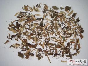 佩兰中药