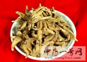 手掌参的功效与作用-用法及别名-手掌参图片
