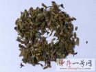 葛花4
