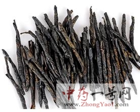 苦丁茶1