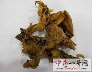 昆布