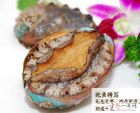 鲍鱼11 鲍鱼11