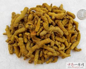 姜黄的功效与作用-用法及别名-姜黄图片