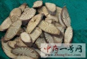 青风藤的功效与作用-用法及别名-青风藤图片