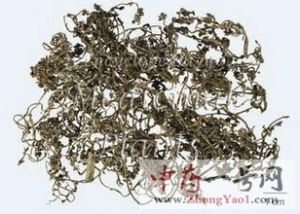 鹅不食草的功效与作用-用法及别名-鹅不食草图片