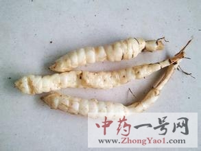 泽兰根
