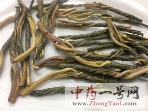 苦丁茶2