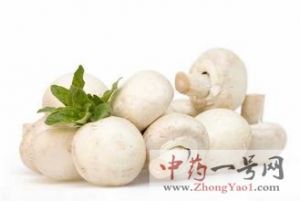 蘑菇的功效与作用-用法及别名-蘑菇图片