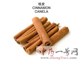 桂皮的功效与作用-用法及别名-桂皮图片