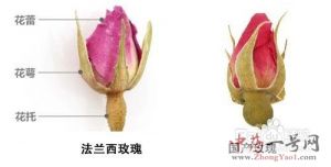 玫瑰花茶区别 玫瑰花茶区别
