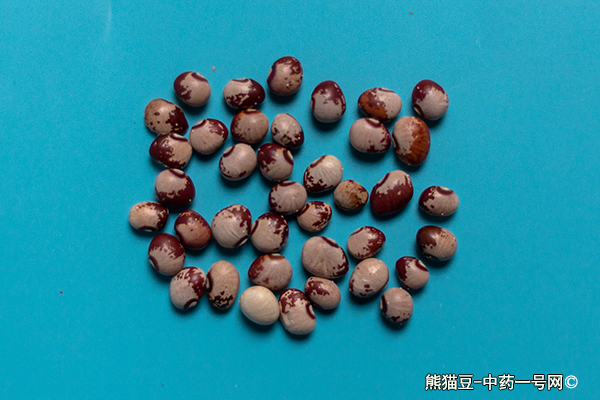 熊猫豆的功效与作用-用法及别名-熊猫豆图片