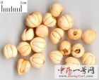 贝母