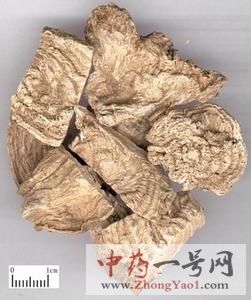 商陆的功效与作用-用法及别名-商陆图片