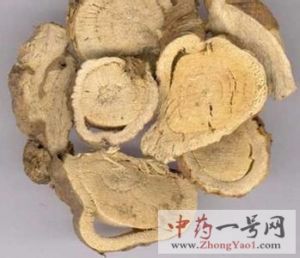 苦参