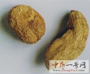 金果榄的功效与作用-用法及别名-金果榄图片