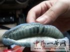 野香蕉2