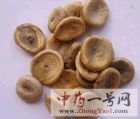 马钱子3