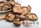 香菇1