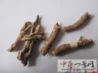 香加皮3