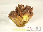 雌黄5