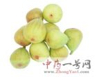 无花果5