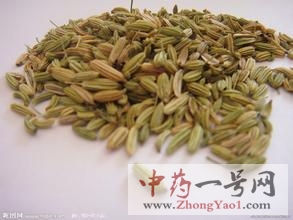 孜然2