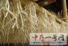 川明参5
