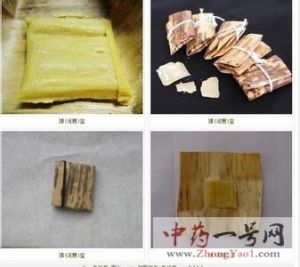 獐奶