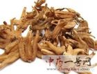 手掌参1